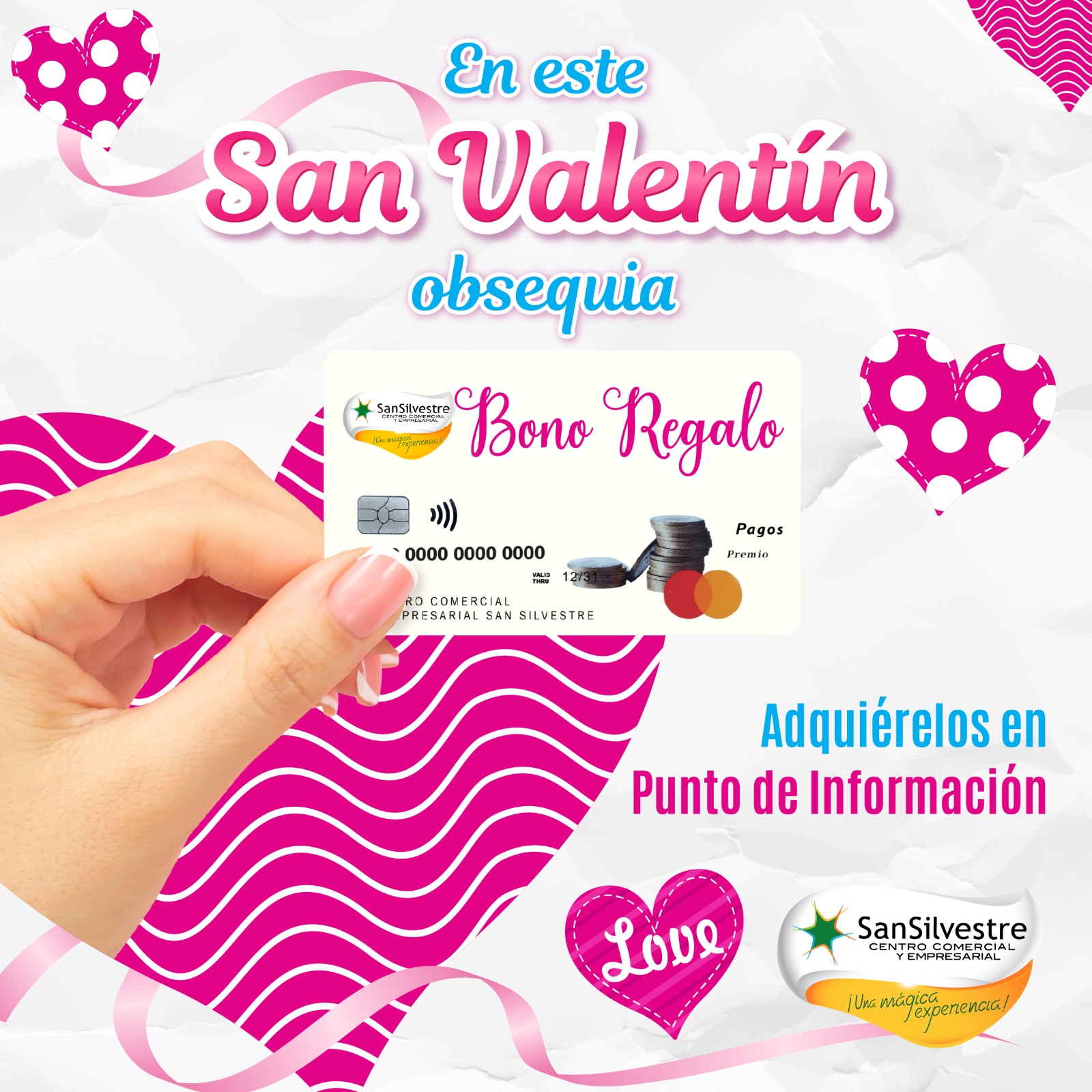 WhatsApp Image 2026-02-13 at 12.33.00 PM